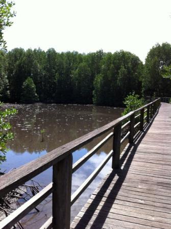 Kota Kinabalu Wetlands Centre